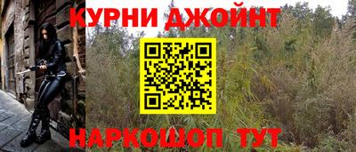 сатива Аргун